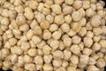 IQF Chick Peas,Frozen Chick Peas,cooked