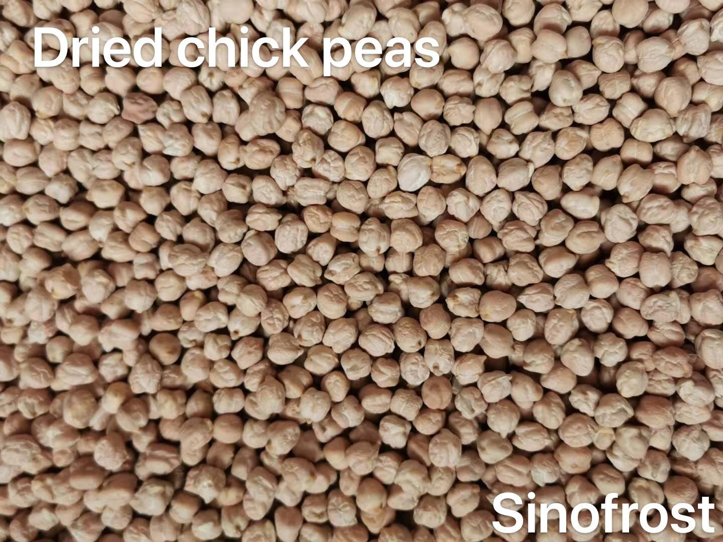 IQF Chick Peas,Frozen Chick Peas,cooked 2