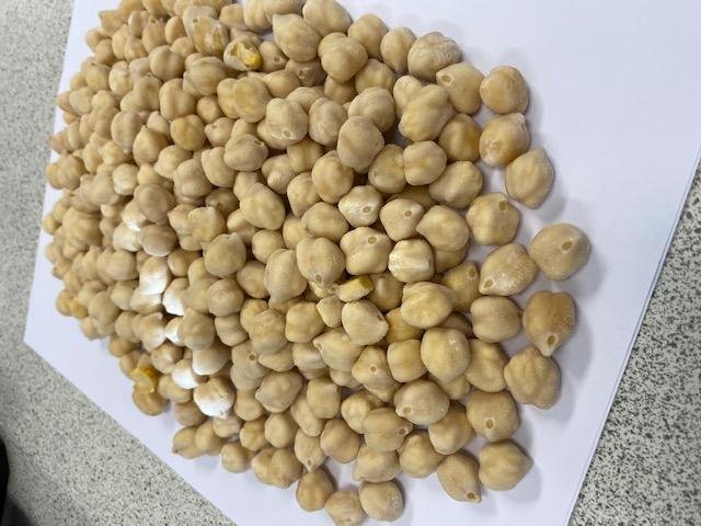 IQF Chick Peas,Frozen Chick Peas,cooked 3
