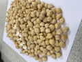 IQF Chick Peas,Frozen Chick Peas,cooked