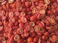 IQF cherry tomatoes,Frozen cherry tomato,wholes/slices/halves/dices