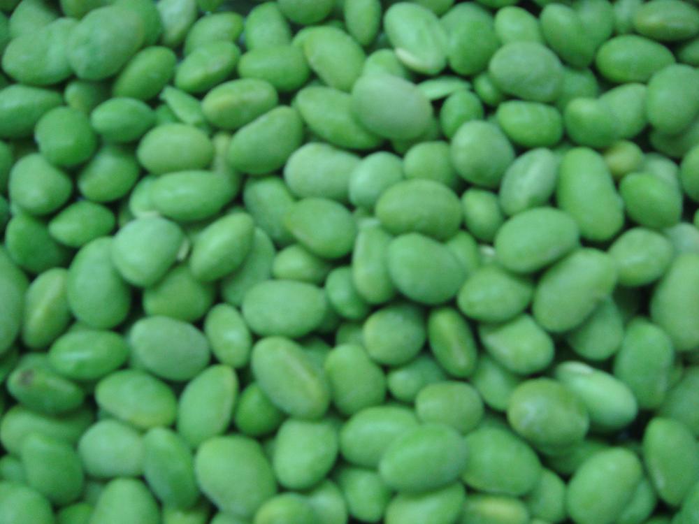 IQF Mukimame,IQF Shelled Edamame,IQF Green Soybean Kernerls 2