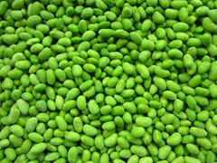 IQF Mukimame,IQF Shelled Edamame,IQF Green Soybean Kernels