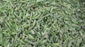 IQF Green Asparagus Cuts & Tips,Frozen Green Asparagus Tips & Cuts 3