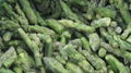 IQF Green Asparagus Cuts & Tips,Frozen Green Asparagus Tips & Cuts 2