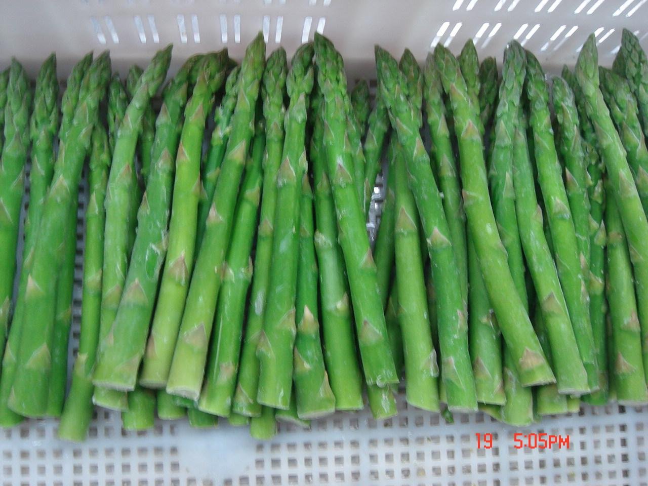IQF Green Asparagus Whole,Frozen Green Asparagus Spear,IQF Frozen Asparagus 3