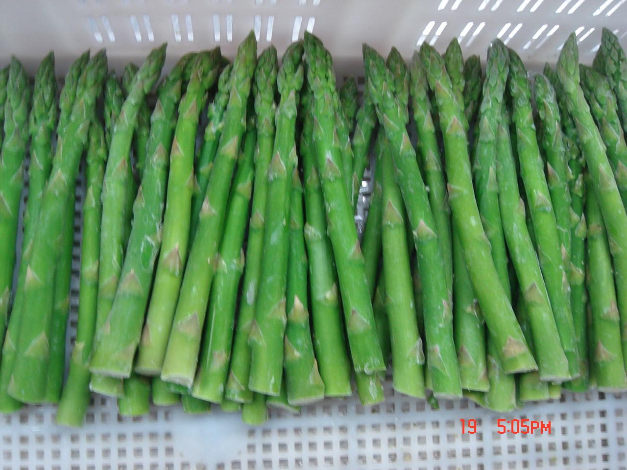 IQF Green Asparagus Wholes, Frozen Green Asparagus Spears SFFV