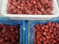 IQF Whole Strawberries,Frozen Whole Strawberries,uncalibrated 10
