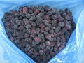 IQF Blackberries,Frozen Blackberries,IQF blackberry,Frozen Blackberry 4