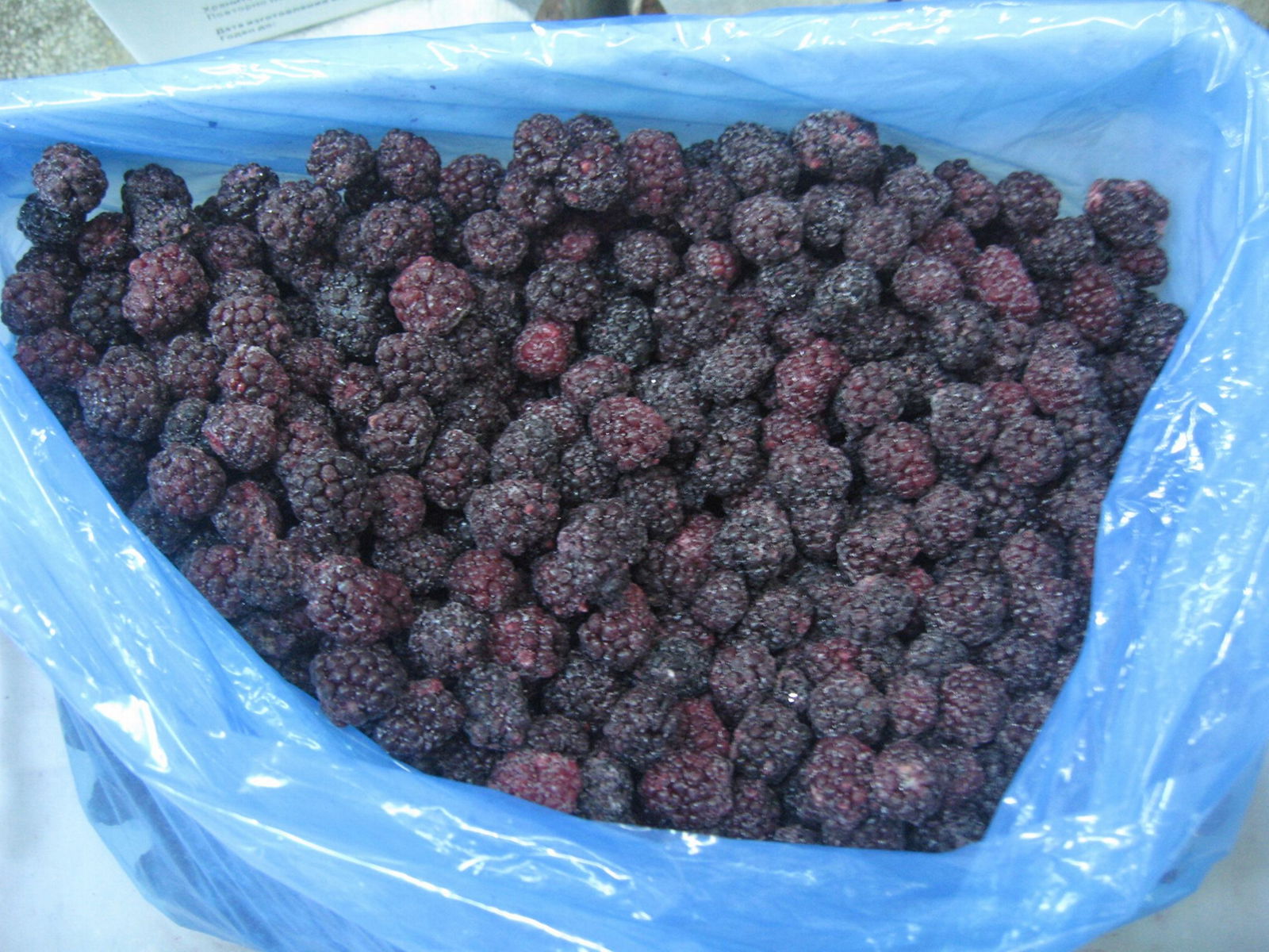 冷冻黑莓,速冻黑莓 5