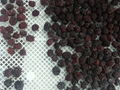 冷凍黑莓,速凍黑莓
