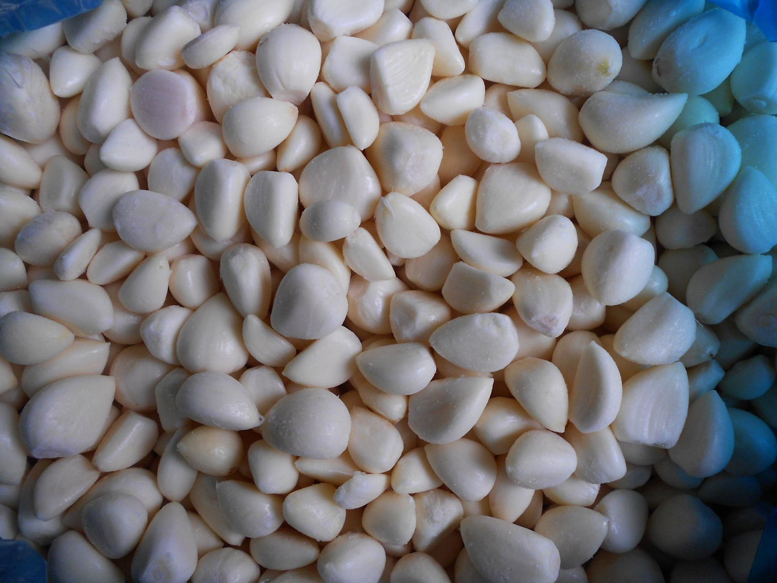 IQF Garlic Cloves ,Frozen Garlic Cloves,IQF Garlic Segments 2