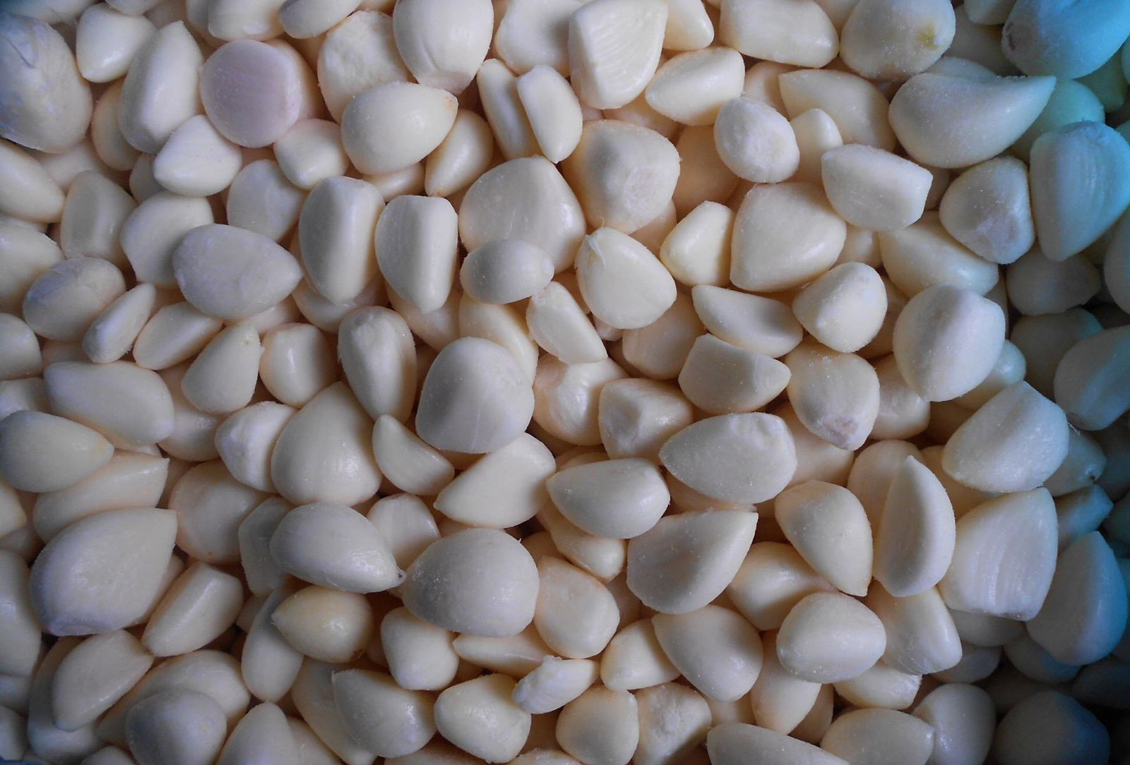 IQF Garlic Cloves ,Frozen Garlic Cloves,IQF Garlic Segments