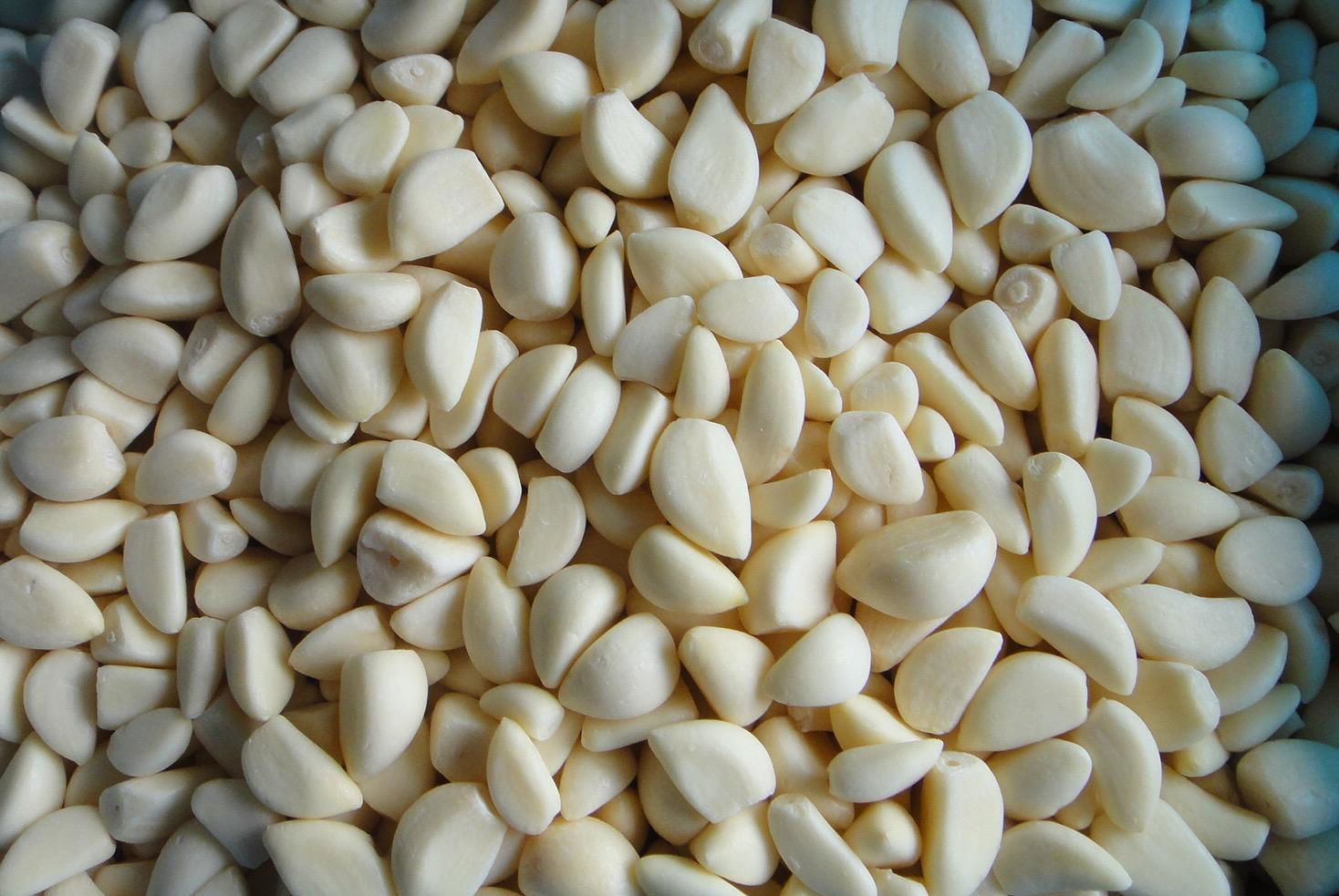 IQF Garlic Cloves ,Frozen Garlic Cloves,IQF Garlic Segments 3