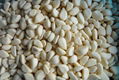 Frozen Garlic Puree,Frozen Garlic Paste,IQF Garlic Puree Tablets