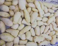 IQF Ginger Wholes,Frozen Whole Ginger,IQF Ginger,peeled,wholes