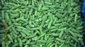 IQF Whole Green Beans ,Frozen Green Beans Wholes,IQF cut green beans 7