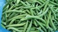 IQF Whole Green Beans ,Frozen Green Beans Wholes,IQF cut green beans 5
