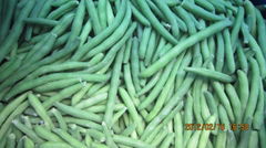 IQF Whole Green Beans ,Frozen Green Beans Wholes,IQF cut green beans