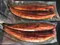 Frozen Prepared Eel ,Unagi Kabayaki ,Frozen Roasted Eel,Seasoned Eel 10