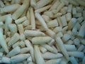 new crop IQF white asparagus,spears/cuts&tips/cuts