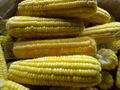 IQF Sweet Cob Corn,Frozen Sweet Corn on the COB,Frozen COB Sweet Corn 18