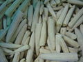 IQF Babycorn Wholes,Frozen Babycorn wholes,IQF Baby Corns Wholes