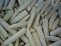 IQF Babycorn Wholes,Frozen Babycorn wholes,IQF Baby Corns Wholes 4