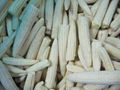 IQF Babycorn Wholes,Frozen Babycorn wholes,IQF Baby Corns Wholes 5