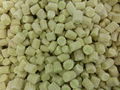 IQF Babycorn Wholes,Frozen Babycorn wholes,IQF Baby Corns Wholes 3