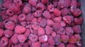 IQF Raspberry Wholes & Brokens,Frozen Raspberry Wholes & Brokens 14