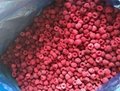 IQF Raspberry Wholes & Brokens,Frozen Raspberry Wholes & Brokens 17