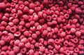 IQF Raspberry Wholes & Brokens,Frozen Raspberry Wholes & Brokens 6