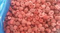 IQF raspberries crumbles,Frozen raspberry crumbles,red,cultivated