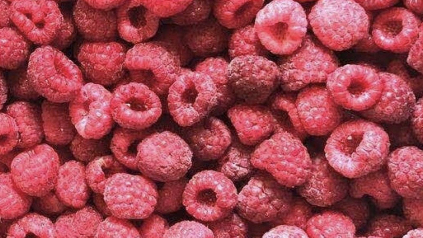 冷冻树莓,速冻树莓 3