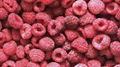 IQF Raspberries,Frozen Raspberry,wholes/brokens/crumbles/puree 3