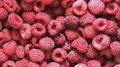 IQF Raspberries,Frozen Raspberry,wholes/brokens/crumbles/puree