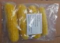 IQF Sweet Kernel Corn,Frozen Sweet Kernel Corn,IQF Sweetcorn Kernels 4