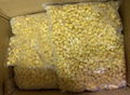 IQF Sweet Kernel Corn,Frozen Sweet Kernel Corn,IQF Sweetcorn Kernels 9