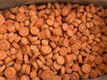 IQF Carrots, Frozen Carrots ,strips/diced/cuts/crinkle slices 10