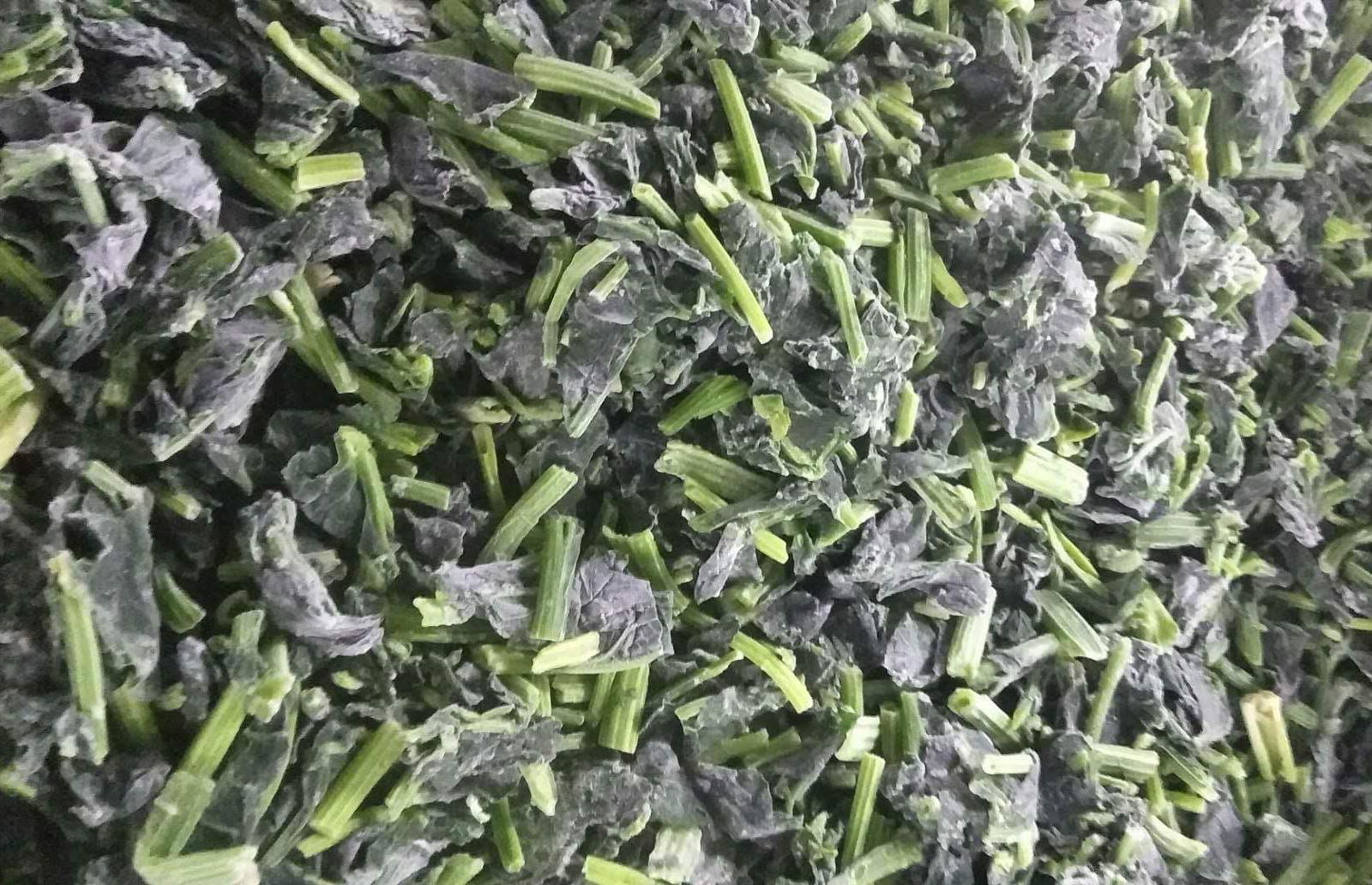 IQF Chopped Spinach,IQF Spinach Cut,BQF Cut Spinach,Frozen Chopped Spinach 3