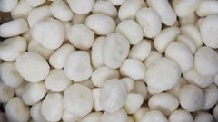 IQF Water Chestnuts Wholes,IQF Whole Water Chestnut,Frozen Water Chestnut Whole