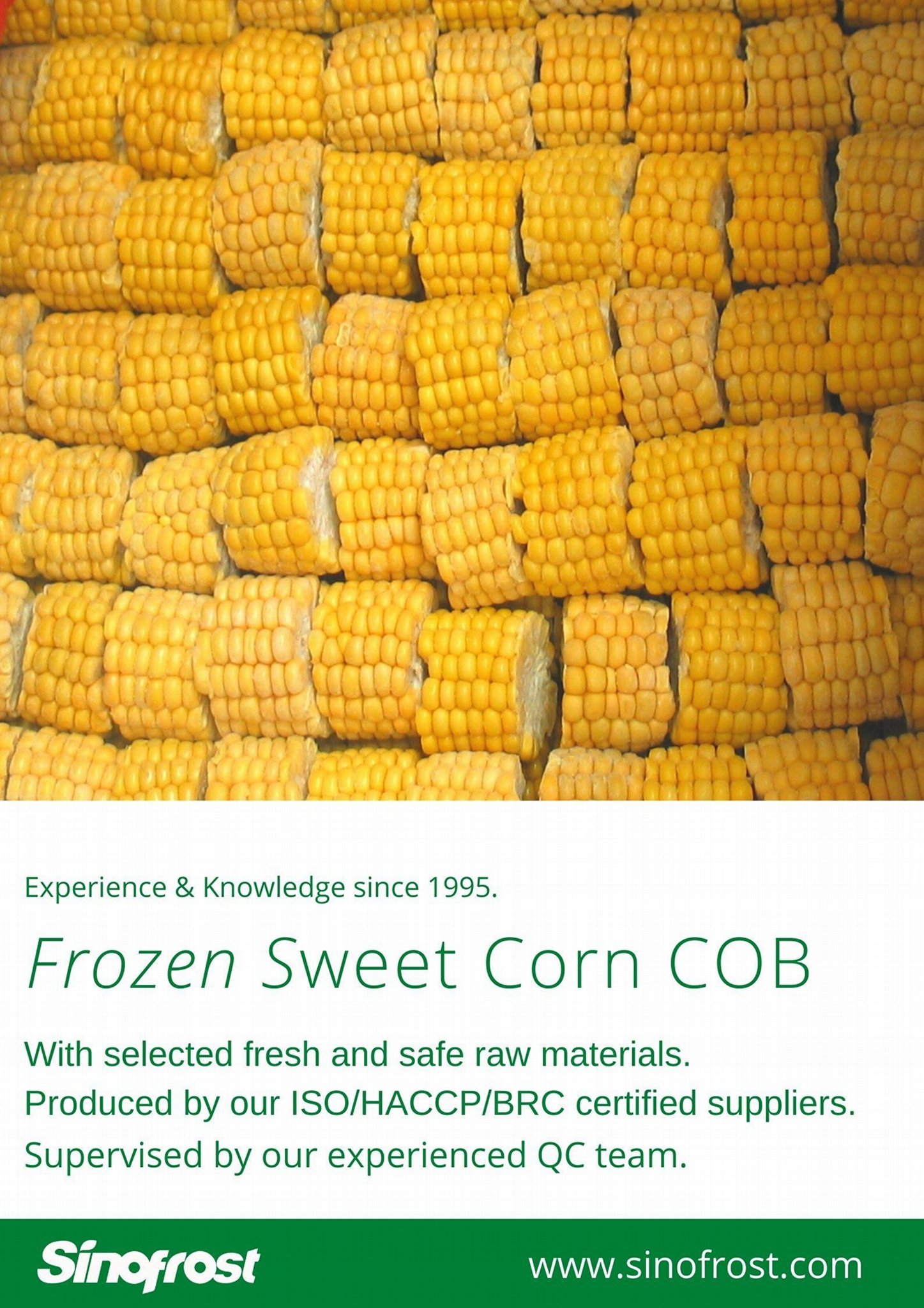 IQF Sweet Cob Corn,Frozen Sweet Corn on the COB,Frozen COB Sweet Corn 5