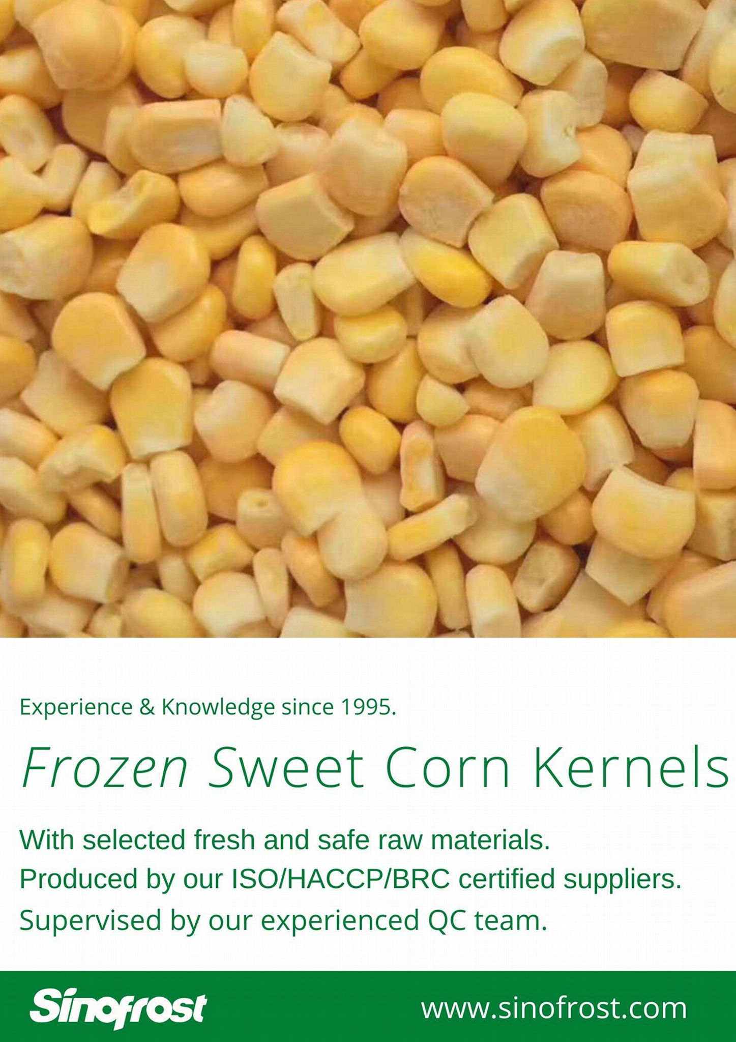 IQF Sweet Cob Corn,Frozen Sweet Corn on the COB,Frozen COB Sweet Corn 2