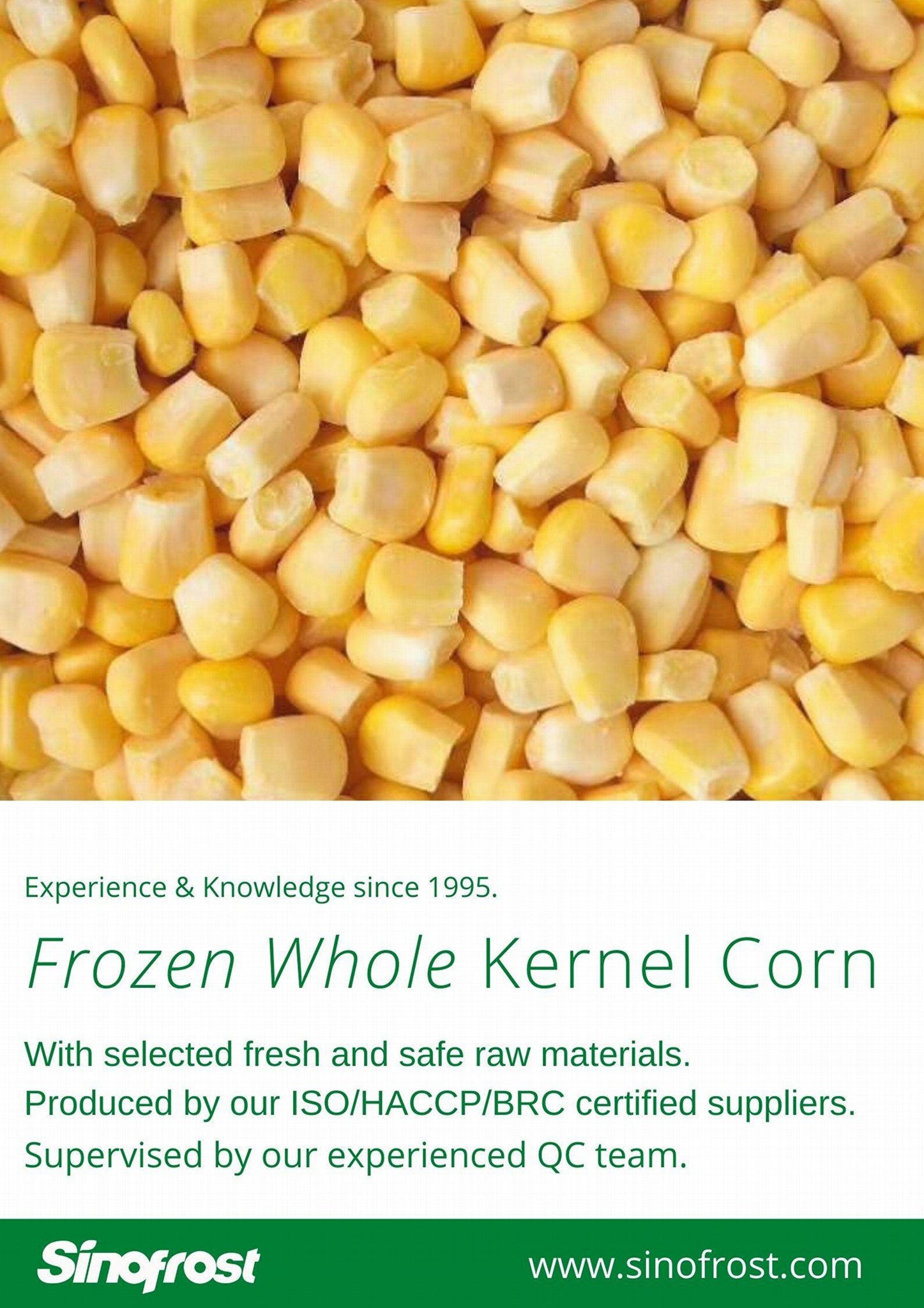 IQF Sweet Cob Corn,Frozen Sweet Corn on the COB,Frozen COB Sweet Corn 4