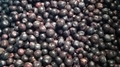 IQF blueberry,IQF Blueberries,Frozen Blueberries,cultivated 10