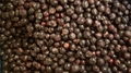 IQF blueberry,IQF Blueberries,Frozen Blueberries,cultivated 11