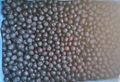 IQF blueberry,IQF Blueberries,Frozen Blueberries,cultivated 2