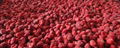 IQF Strawberries,Frozen Whole Strawberries,IQF Strawberry,American no.13 variety 9