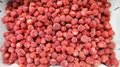 IQF Strawberry,Frozen Strawberries,IQF Whole Strawberry,Sweet Charlie variety 5